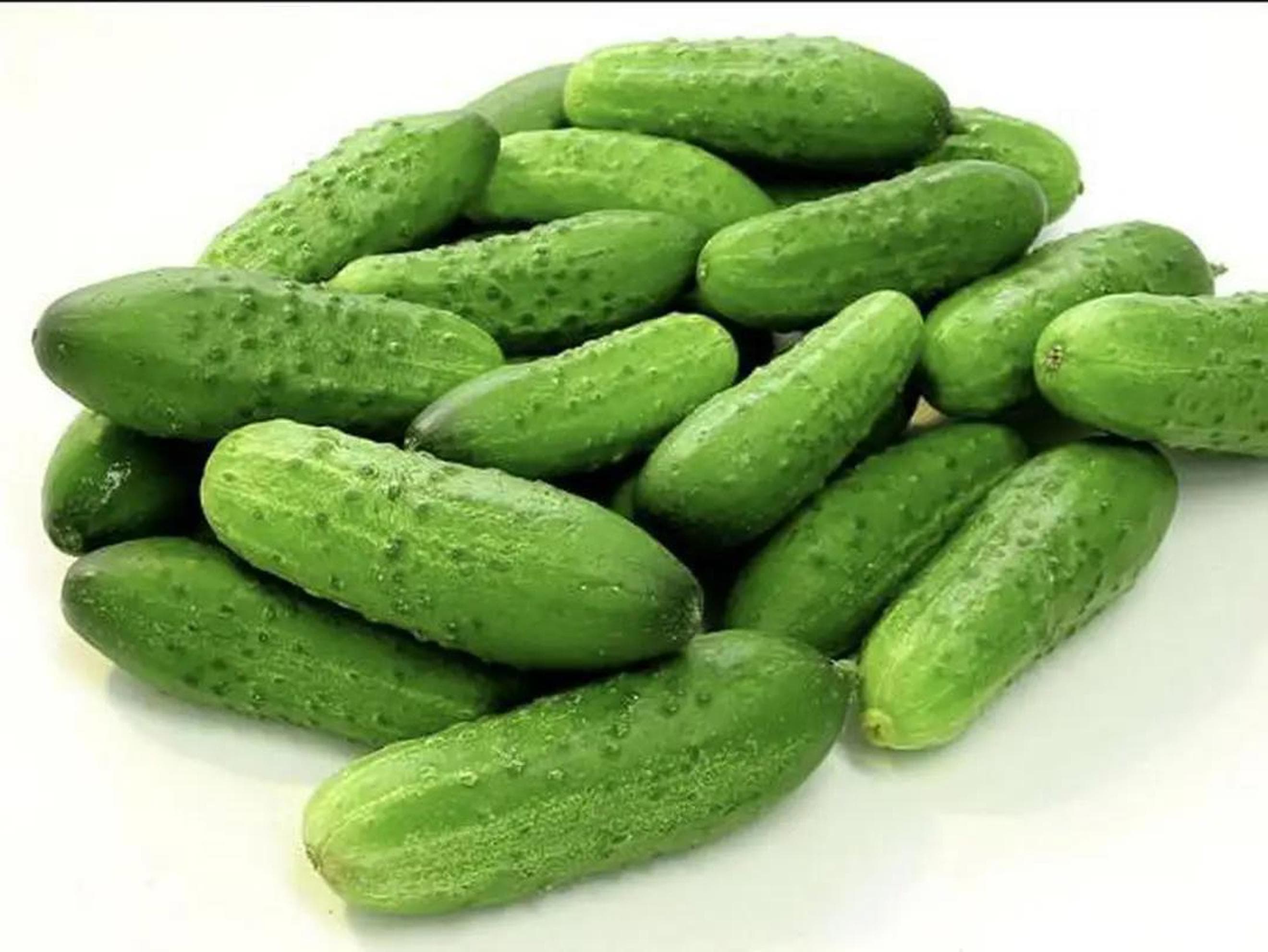 Cucumbers bundle
