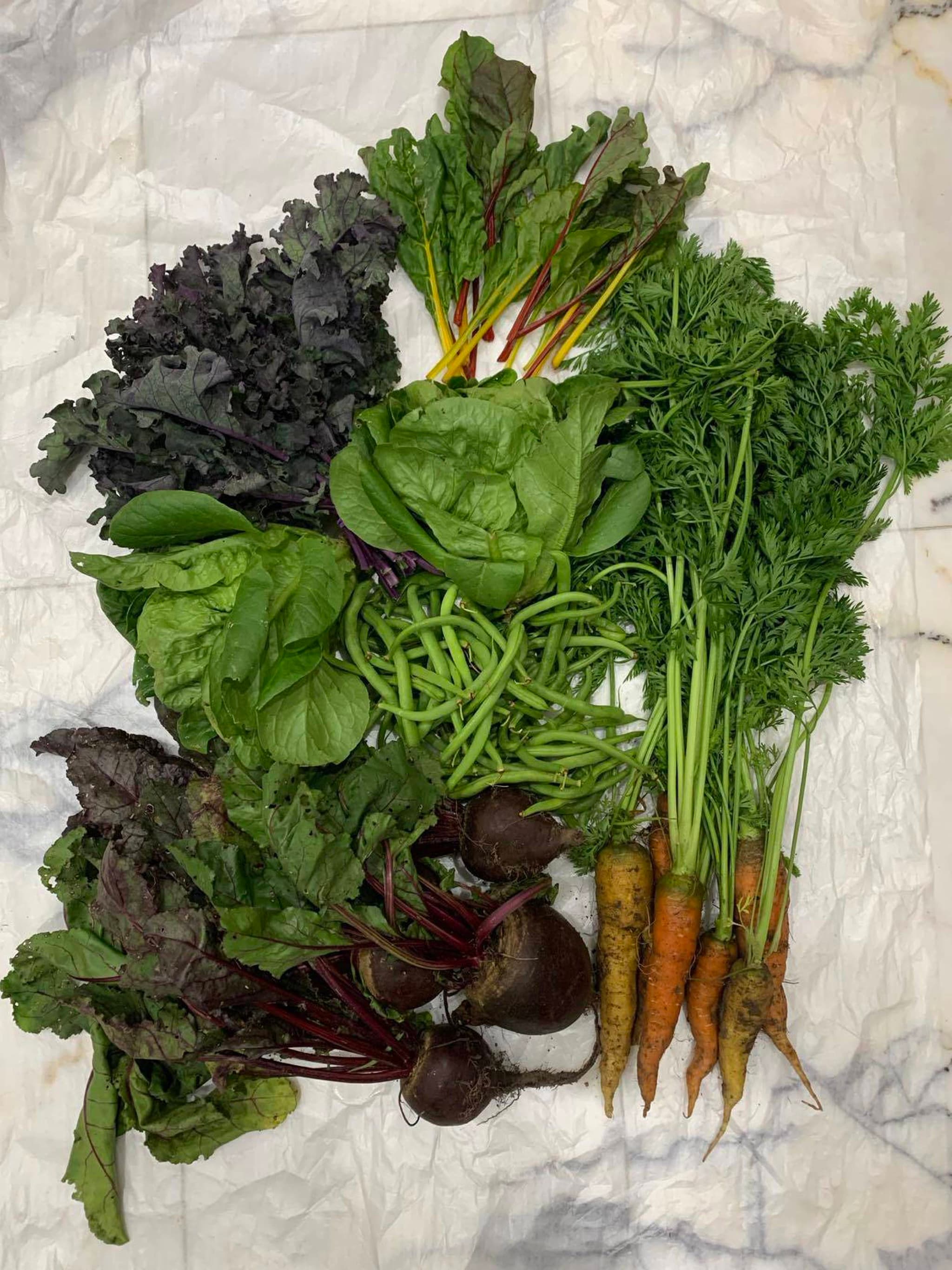 Large veg box
